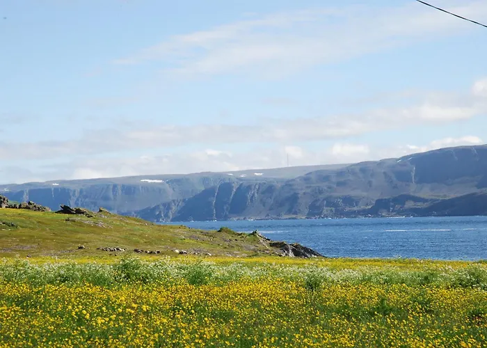 Kongsfjord Holiday Home 別荘 *